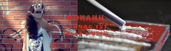 мескалин Горнозаводск