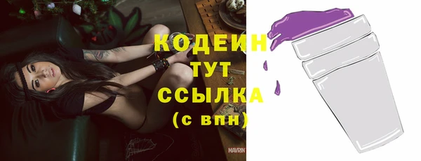 амф Гусь-Хрустальный