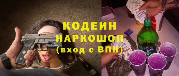 амф Гусь-Хрустальный